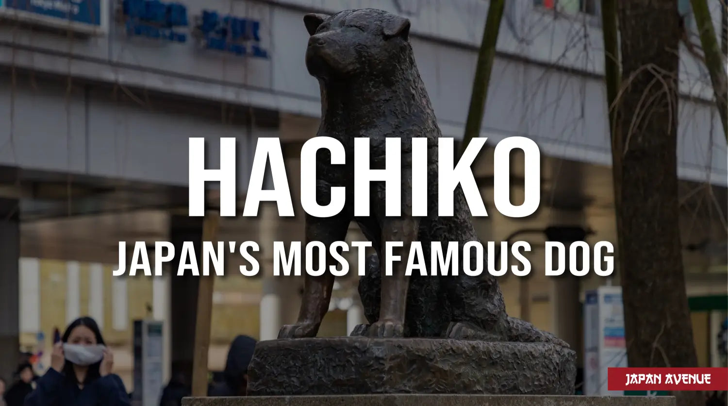 The True Story Of Hachiko Japan Avenue the-true-story-of-hachiko-japan-avenue