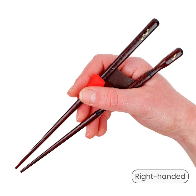 Training Chopsticks for Adults