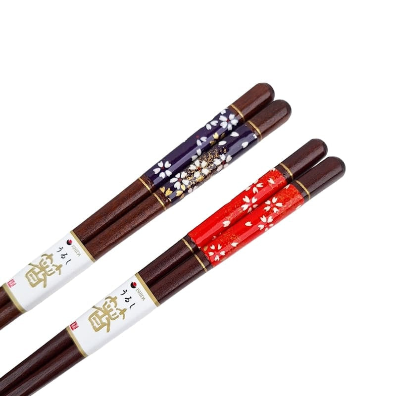 Coffret Baguettes Japonaises Rouge & Bleu