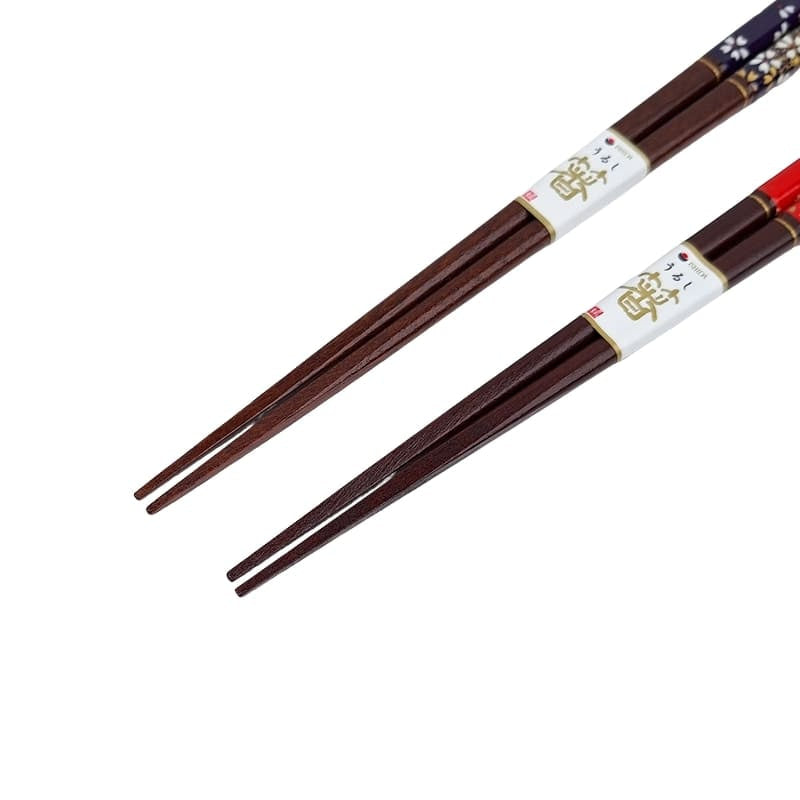 Coffret Baguettes Japonaises Rouge & Bleu