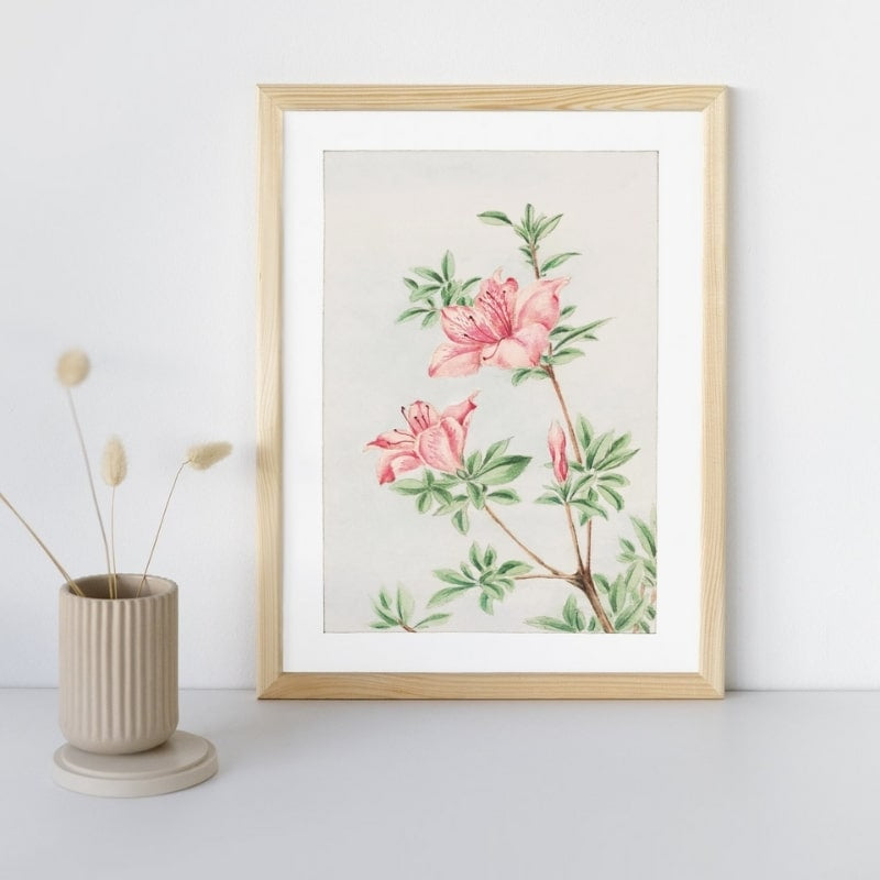 Japanese Azalea print - A3
