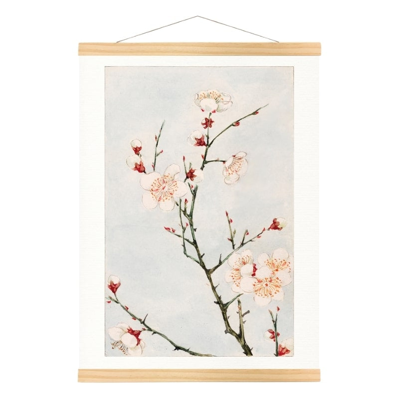 Japanese Plum Blossom Print - A3