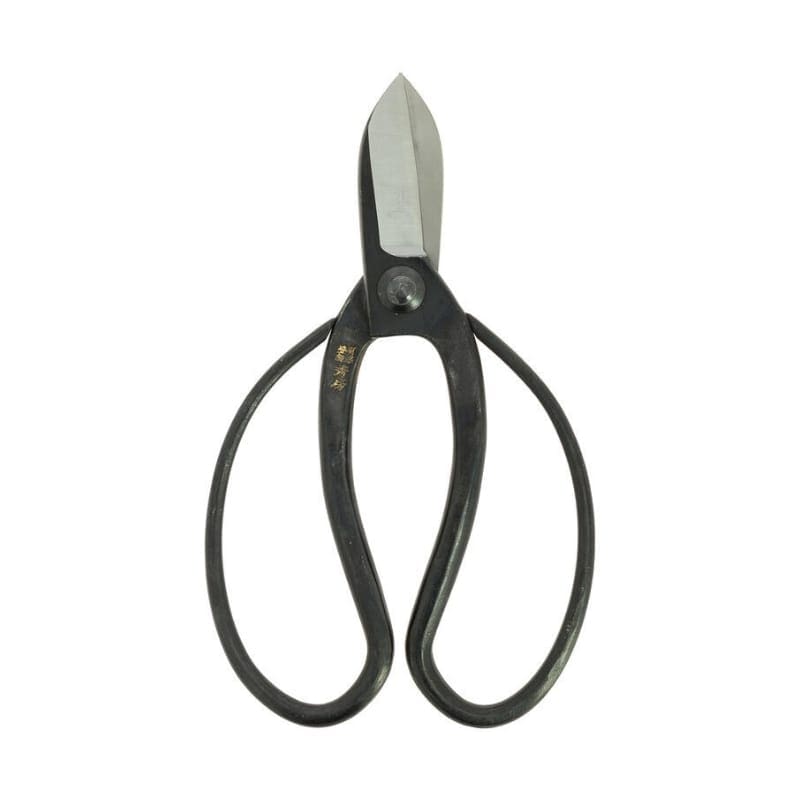 Ikebana Scissors - Koryu