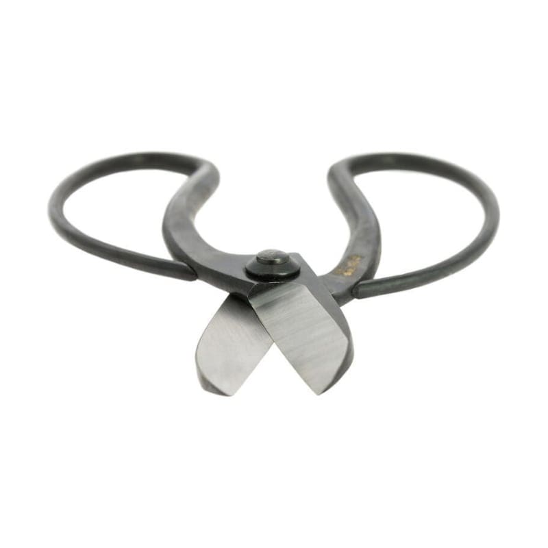 Ikebana Scissors - Koryu