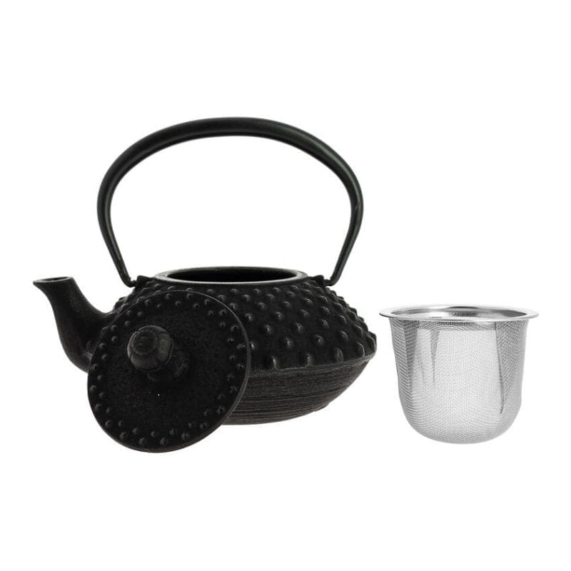 Iwachu Cast Iron Teapot - Black - 12 fl oz