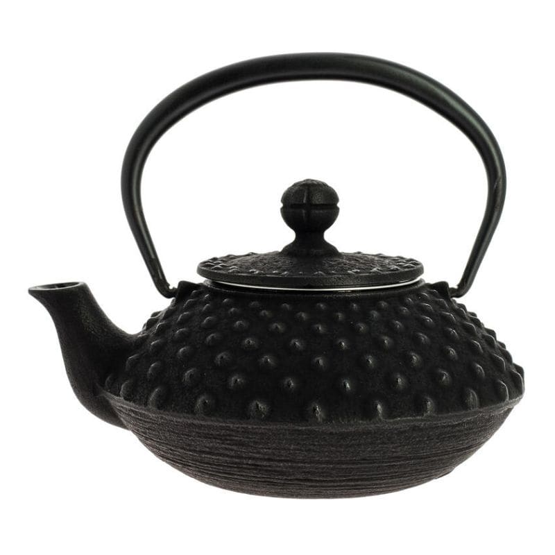 Iwachu Cast Iron Teapot - Black - 12 fl oz