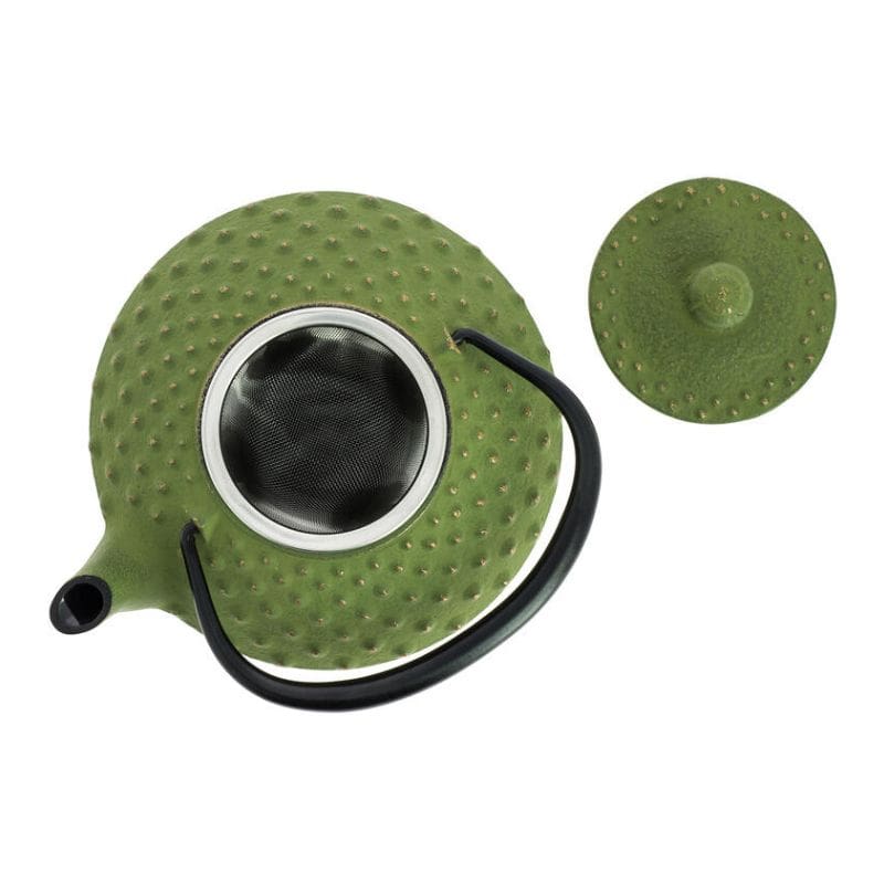 Iwachu Cast Iron Teapot - Green - 12 fl oz