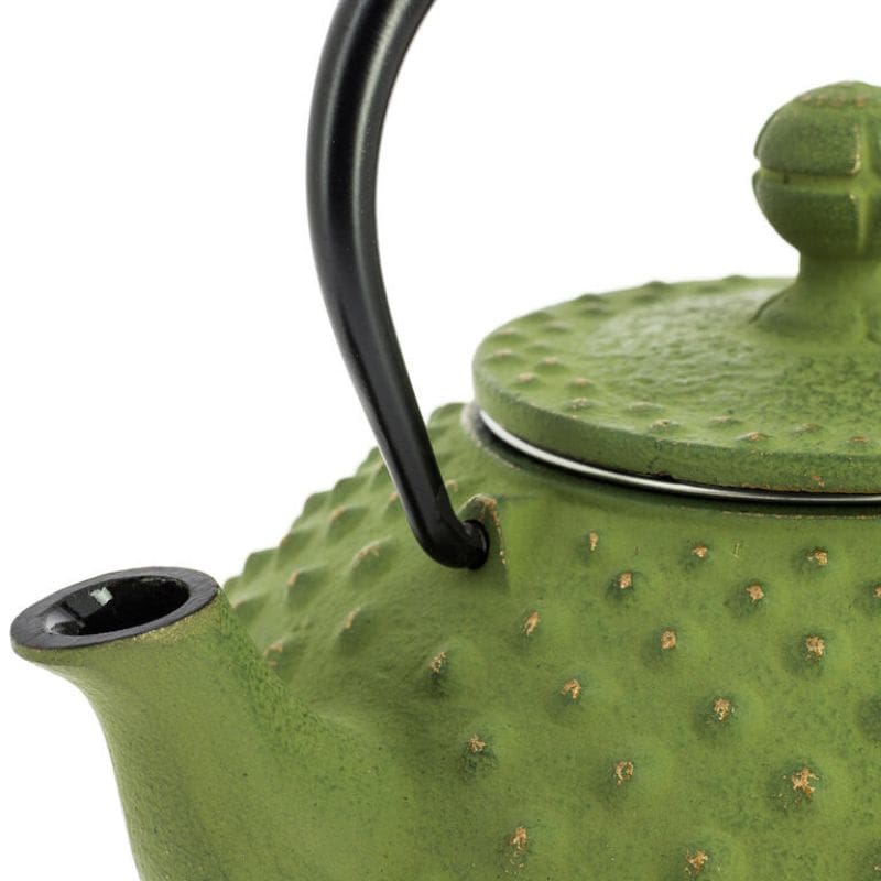 Iwachu Cast Iron Teapot - Green - 12 fl oz