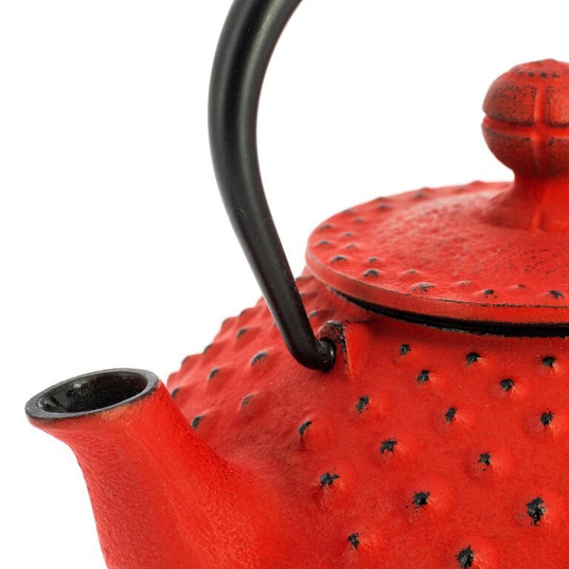 Iwachu Cast Iron Teapot - Red - 12 fl oz