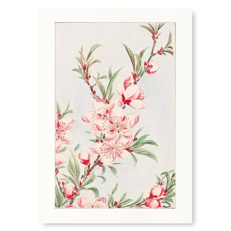 Japanese Block Print - Peach Blossom A3