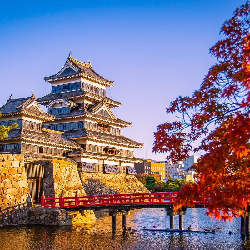 Japanese Cardboard Craft Kit – Matsumoto Castle