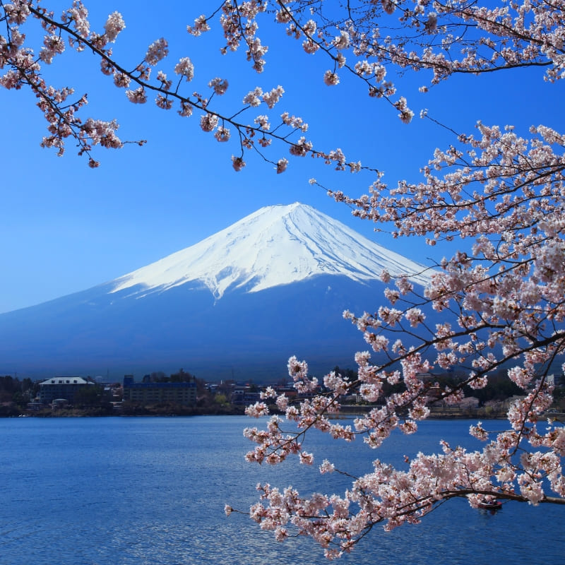 Japanese Cardboard Craft Kit – Mount Fuji
