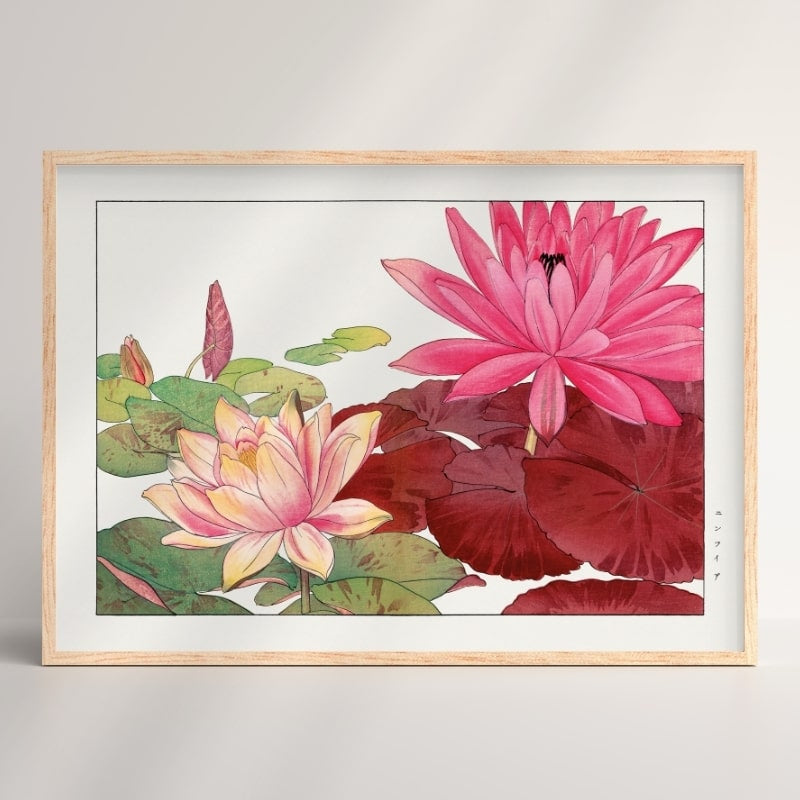 Japanese Woodblock Print - Nymphaea Lotus A3