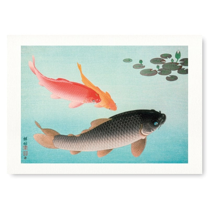 Koi Fish Print A3