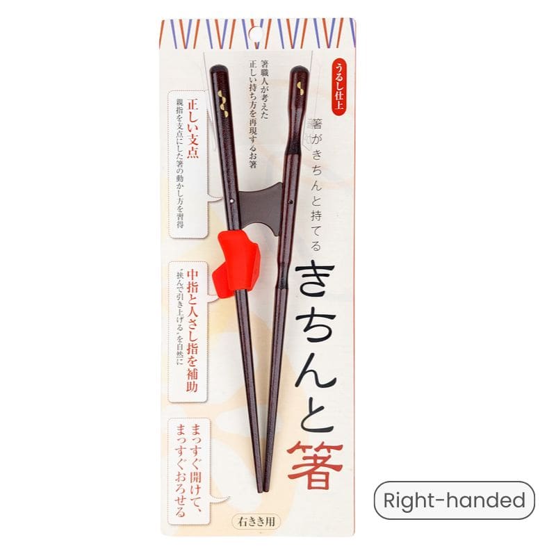 Training Chopsticks for Adults