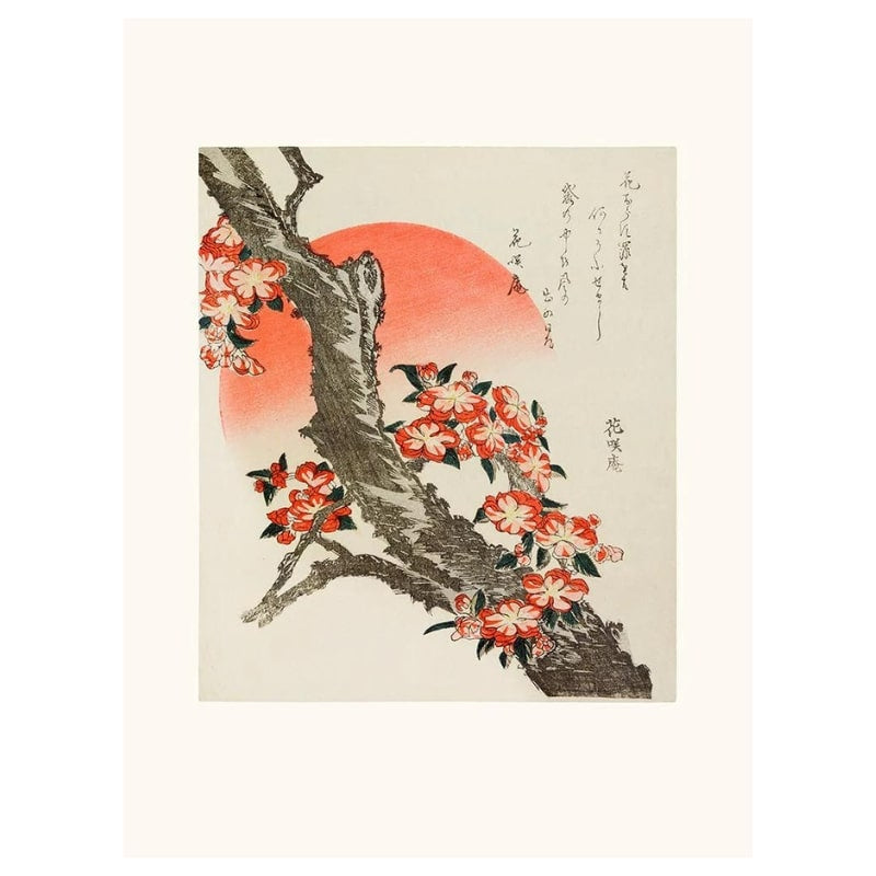 Japanese Cherry Blossom Poster - A3