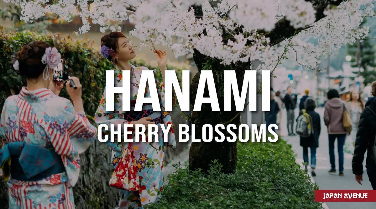 Hanami, the Contemplation of Cherry Blossoms | Japan Avenue