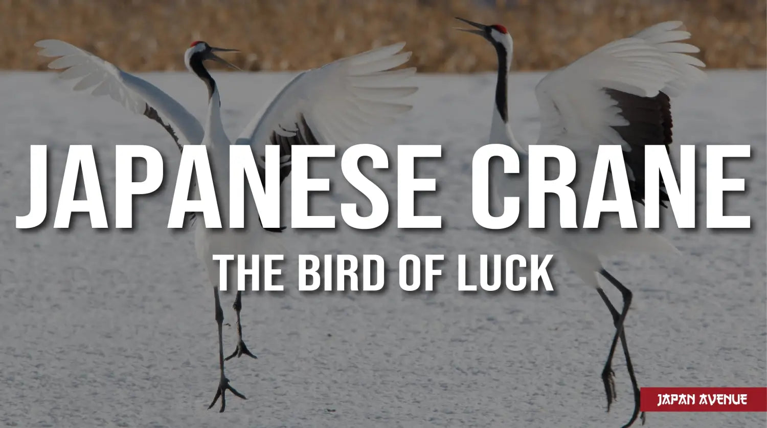 japanese crane