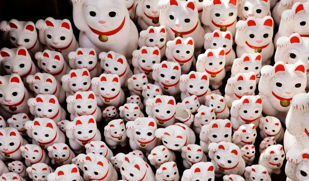 many maneki neko cats