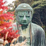 buddhism