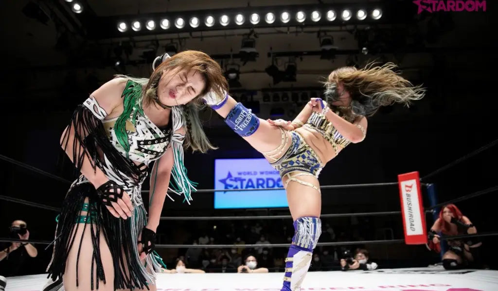 puroresu in japan
