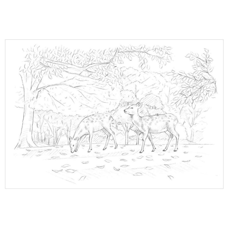 Adult Coloring Pages – The Four Seasons of Nara