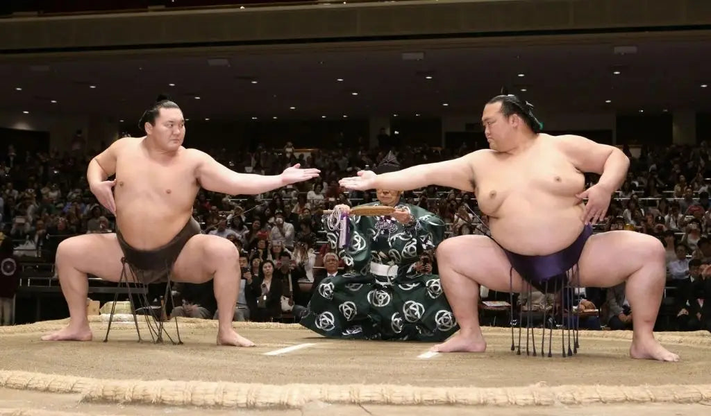Attend a sumo tournament