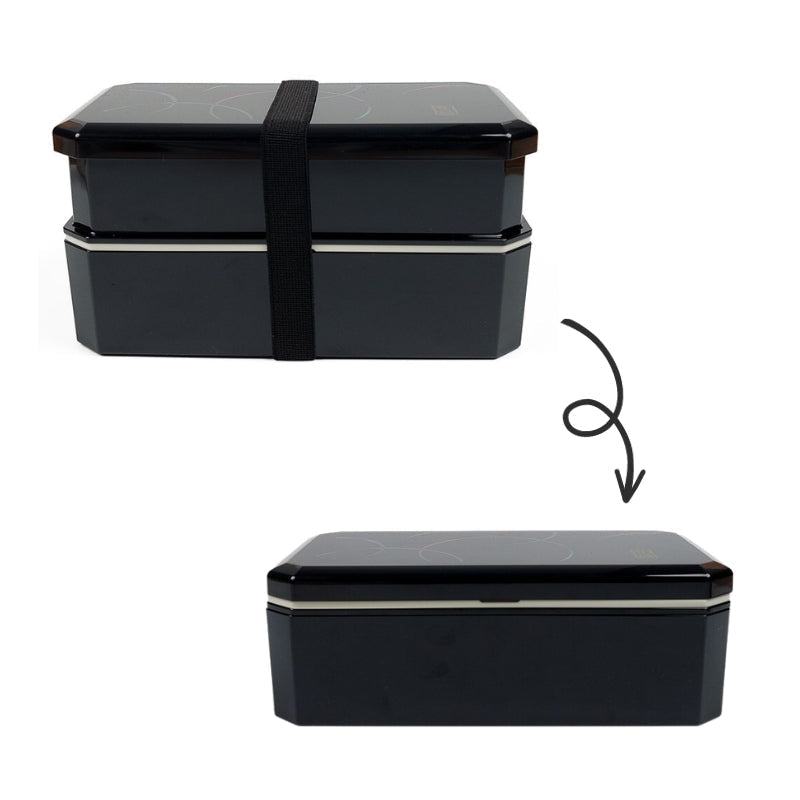 Bento Box & Lunch Bag Set