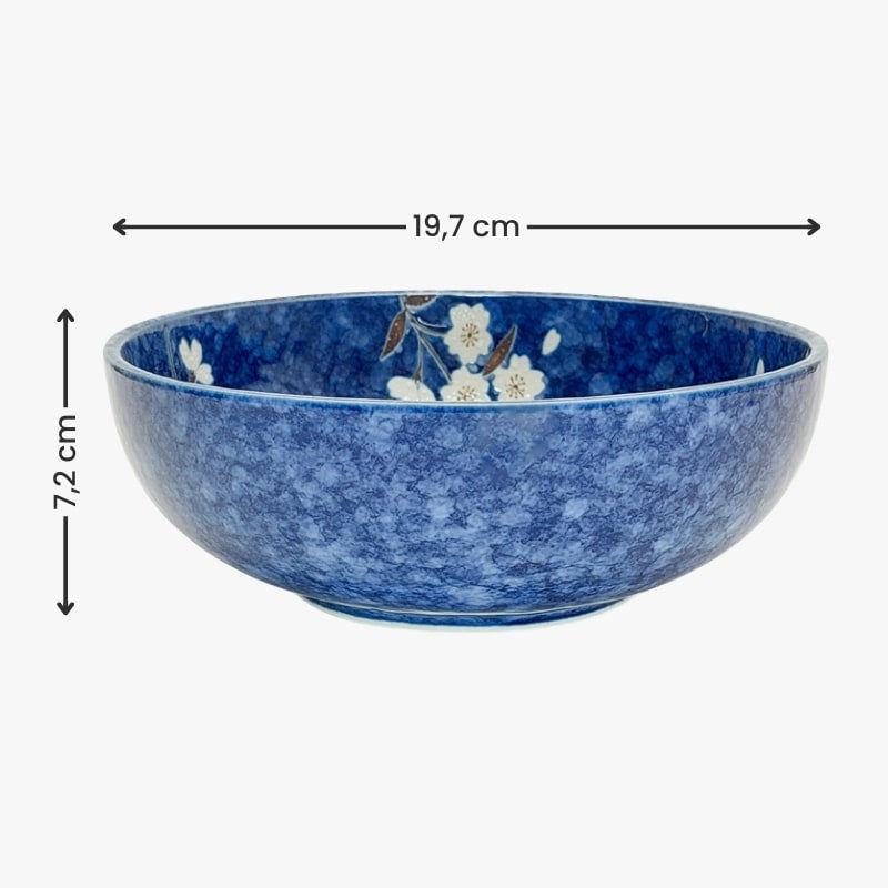 Aoi Sakura Japanese Donburi Bowl