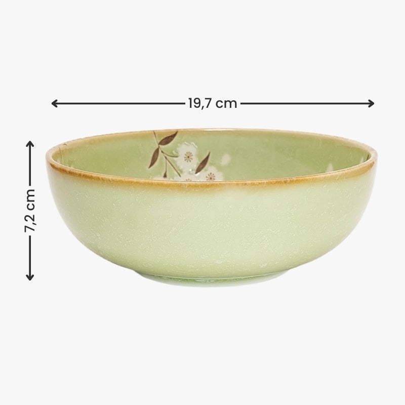 Japanese Donburi Bowl Midori Sakura