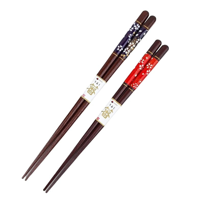 Coffret Baguettes Japonaises Rouge & Bleu