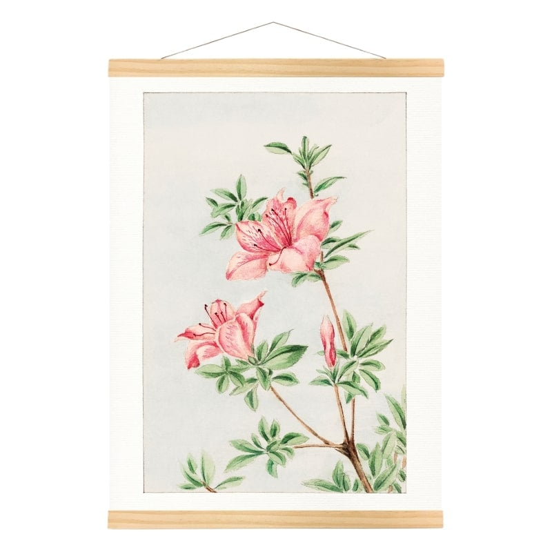 Japanese Azalea print - A3