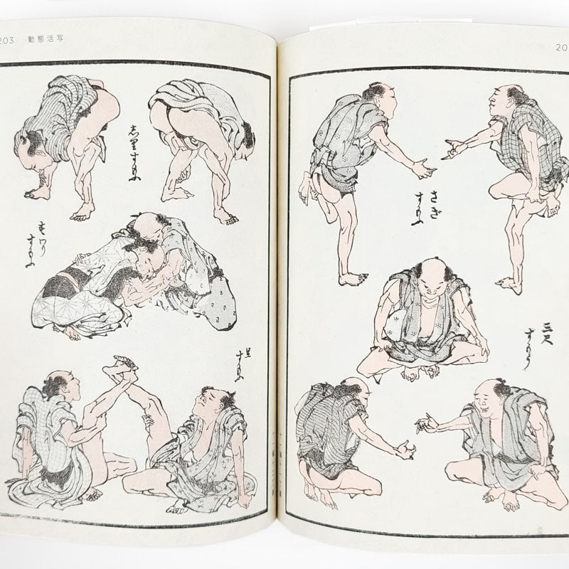 Hokusai Manga Book Set