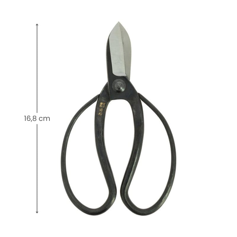 Ikebana Scissors - Koryu