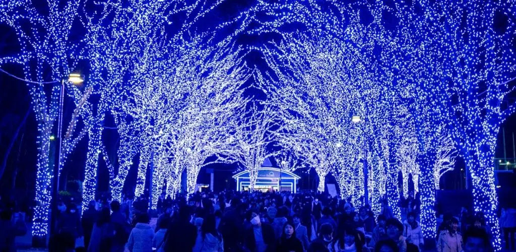 Winter Illuminations Japan