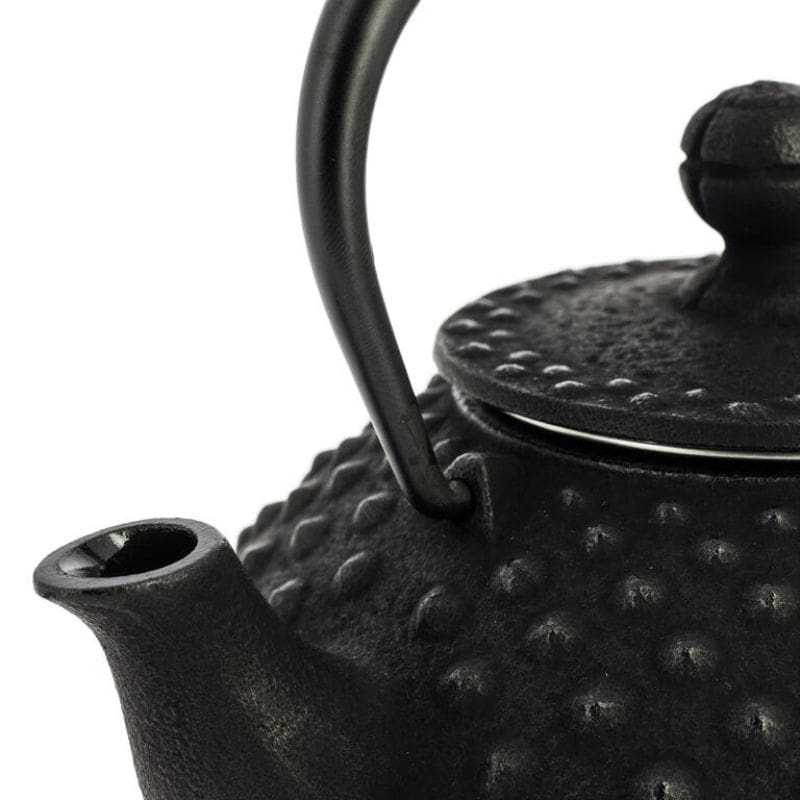 Iwachu Cast Iron Teapot - Black - 12 fl oz