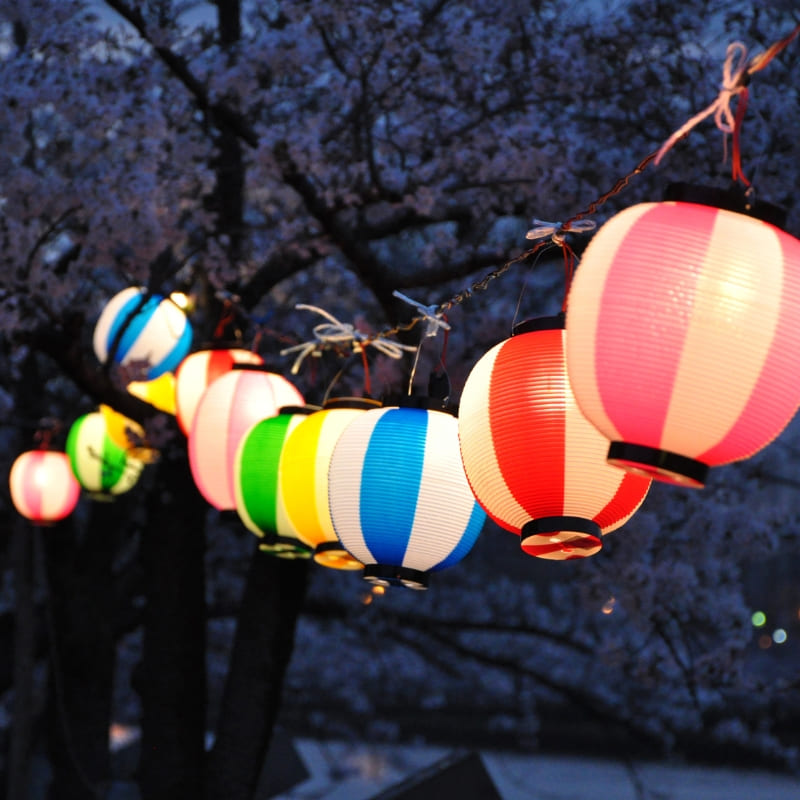 Japanese Chochin Lantern - Blue