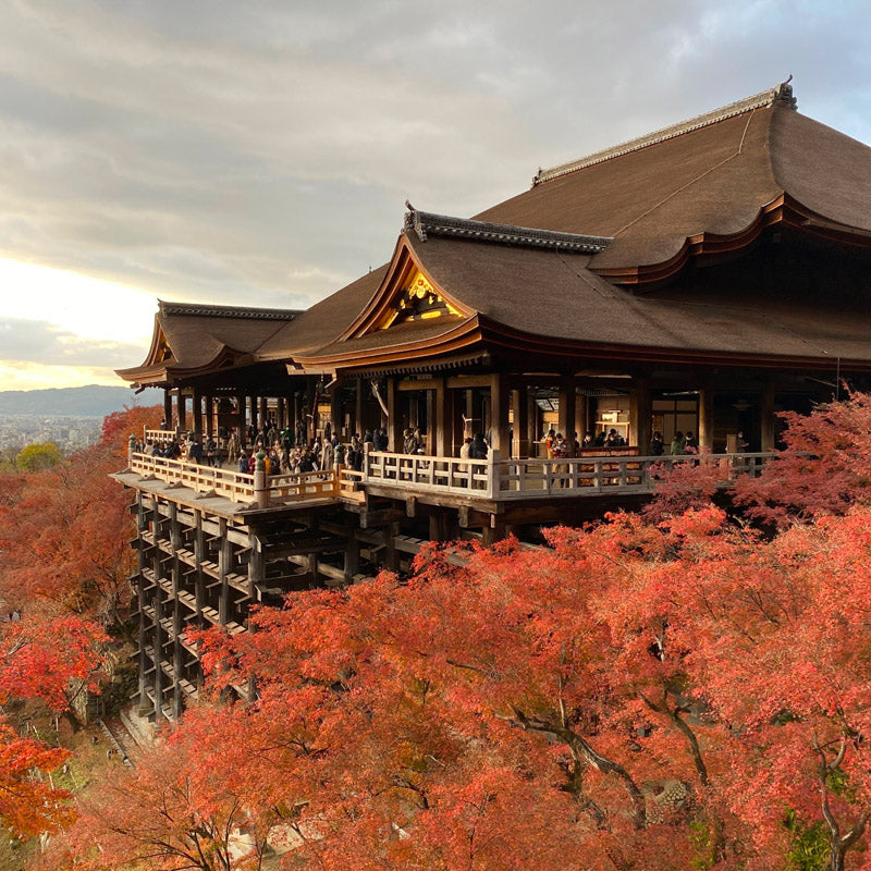 Japanese Miniature Cardboard Craft Kit – Kiyomizu-dera Temple