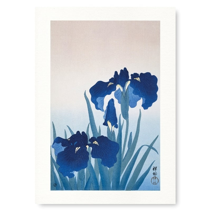 Japanese Woodblock Print - Blue Iris A3