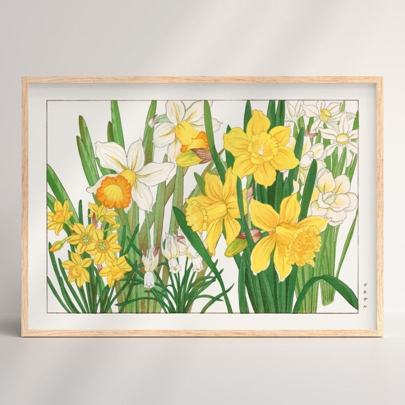 Japanese Woodblock Print - Daffodil Flower A3