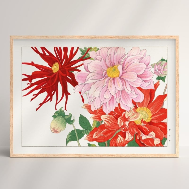 Japanese Woodblock Print - Dahlia Flower A3