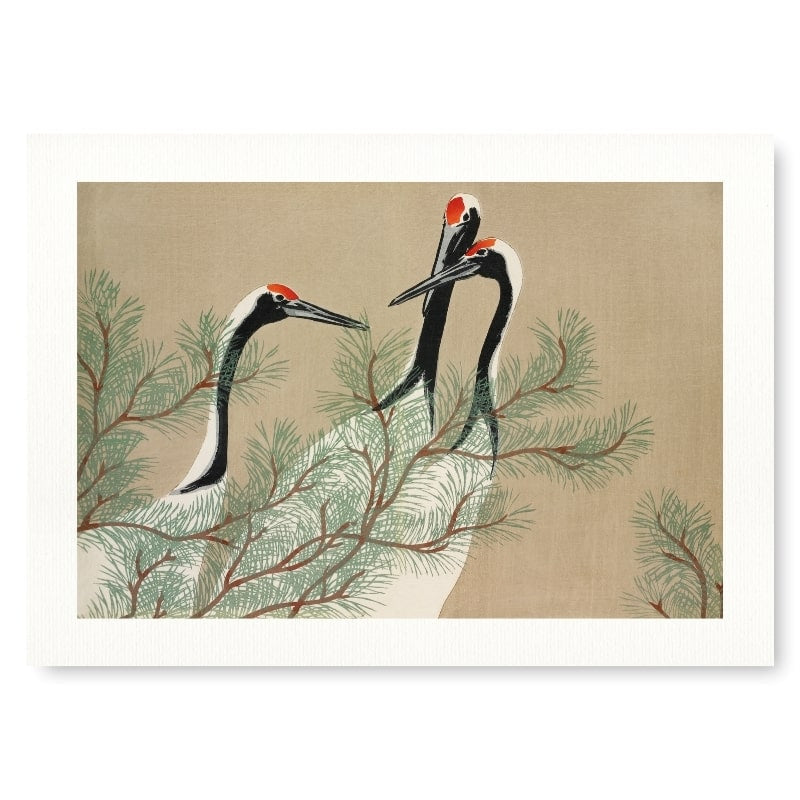 Japanese Woodblock Print - Kamisaka Cranes A3