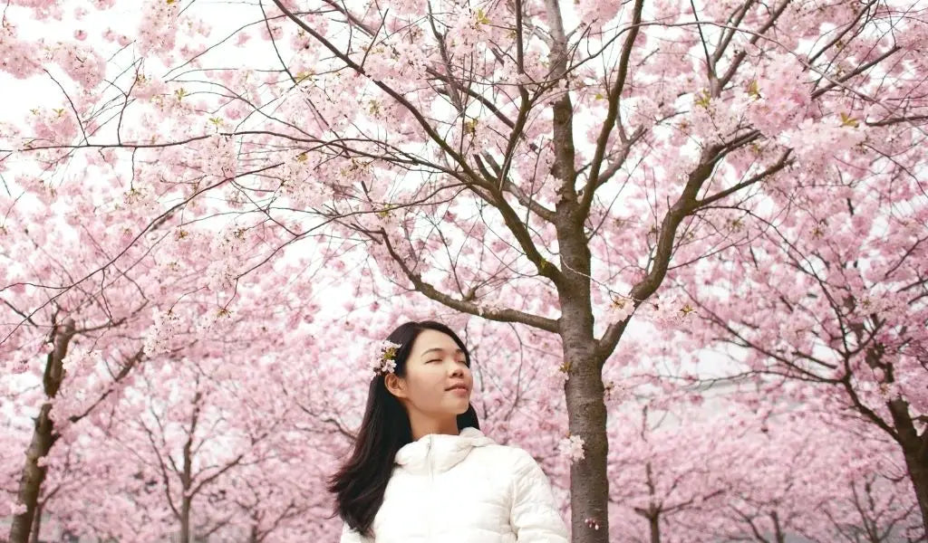 Young woman under a cherry blossom tree