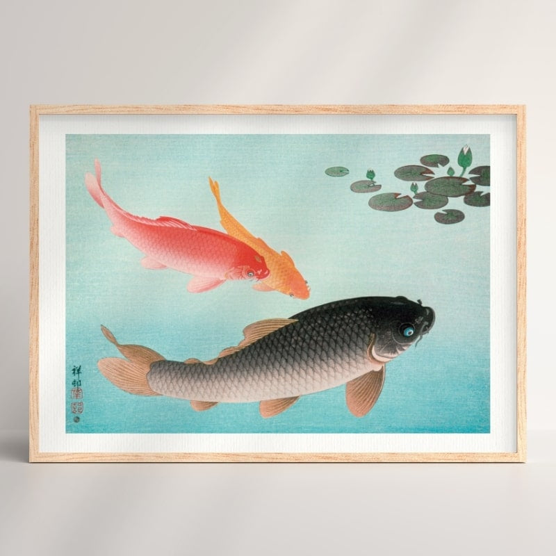 Koi Fish Print A3