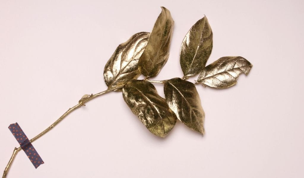 the beauty of imperfect things