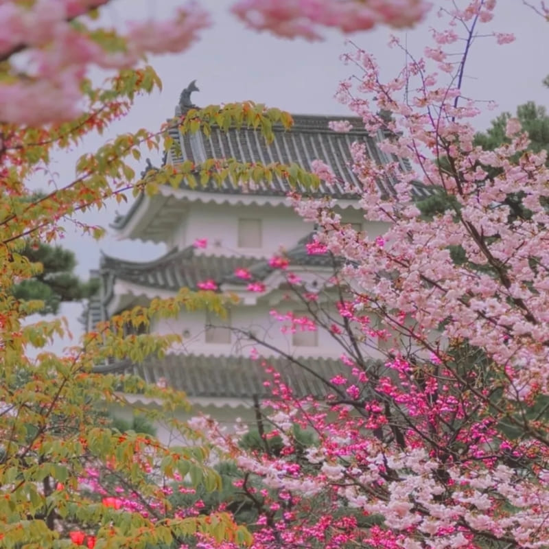 Japanese miniature model - Takamatsu Castle