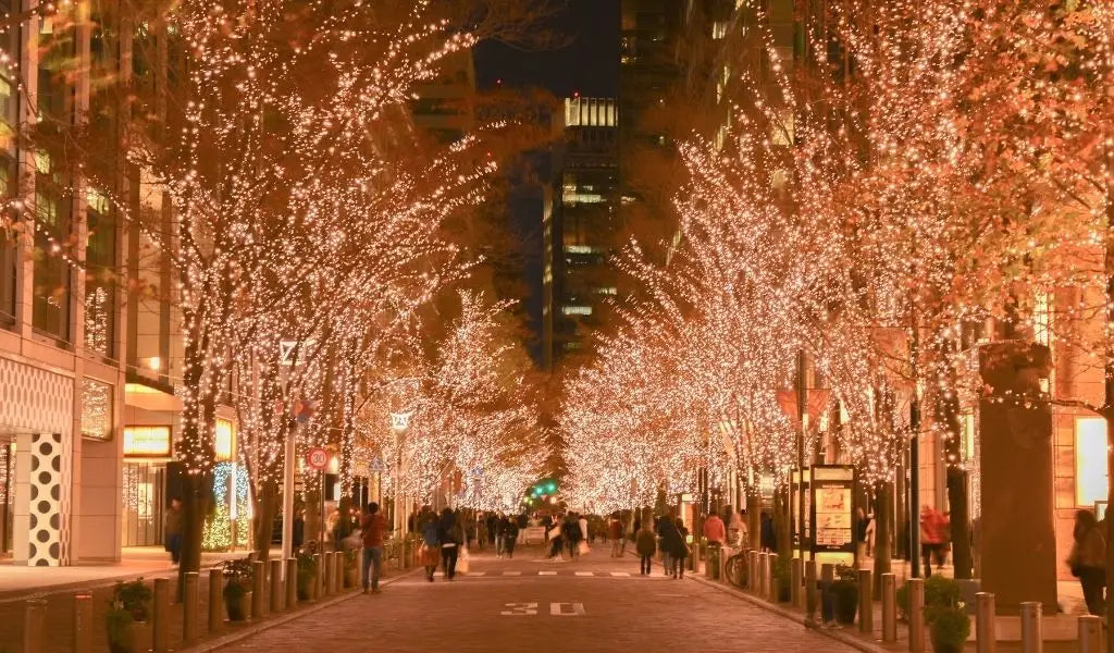 winter illuminations in Tokyo