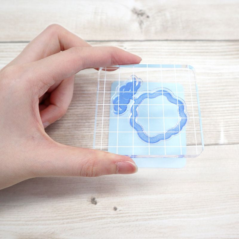 Transparent pad holder