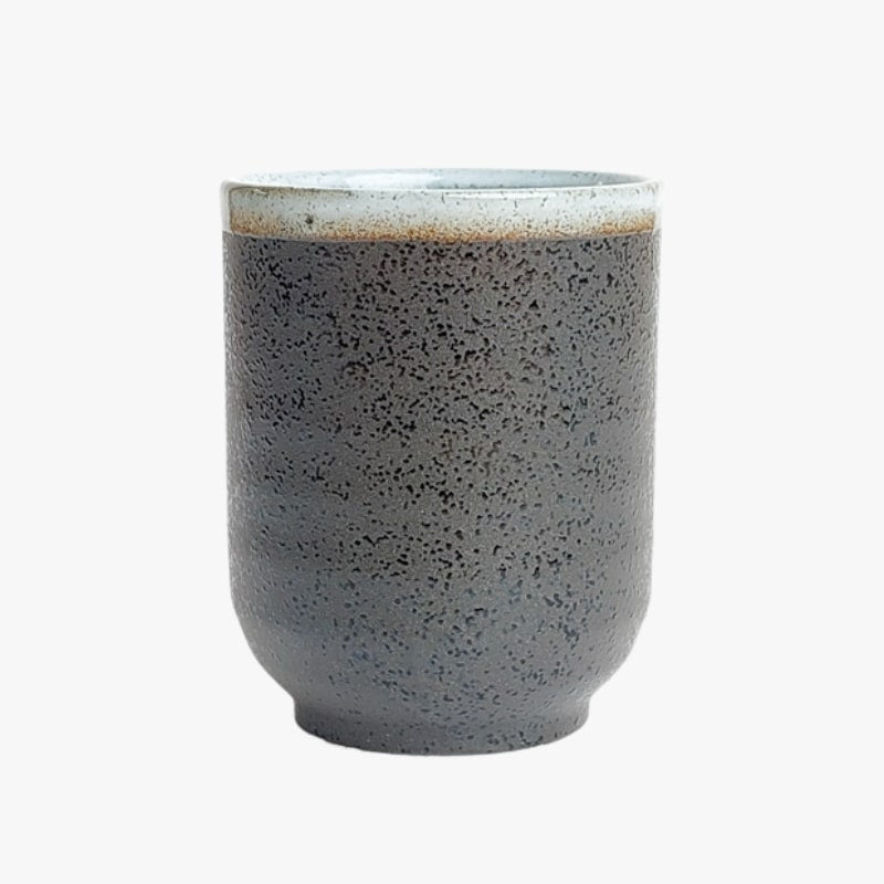 Tenmoku Japanese mug