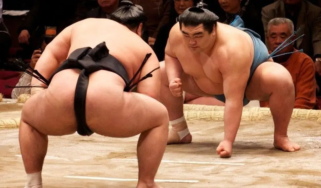 Traditional rikishi outfit